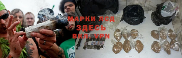 ECSTASY Вяземский