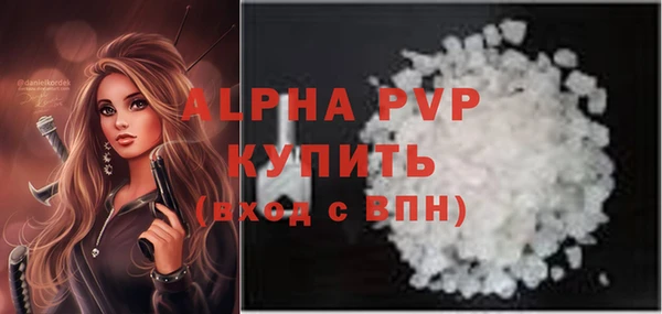 ECSTASY Вяземский