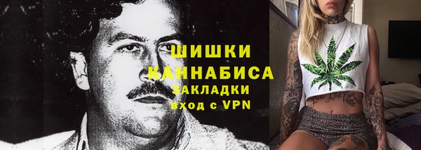 ECSTASY Вяземский