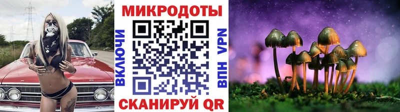 Галлюциногенные грибы GOLDEN TEACHER  Купить  Кубинка 